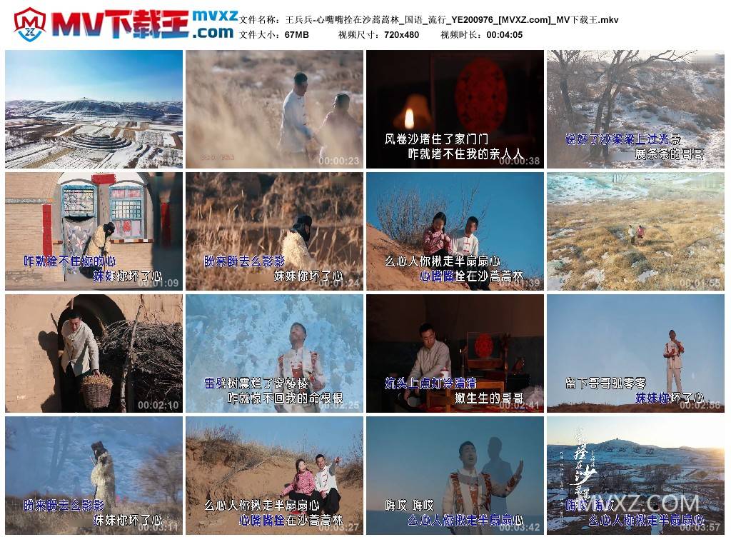 王兵兵-心嘴嘴拴在沙蒿蒿林_国语_流行_YE200976